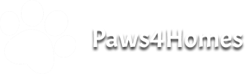 assets/pawsTitle.png